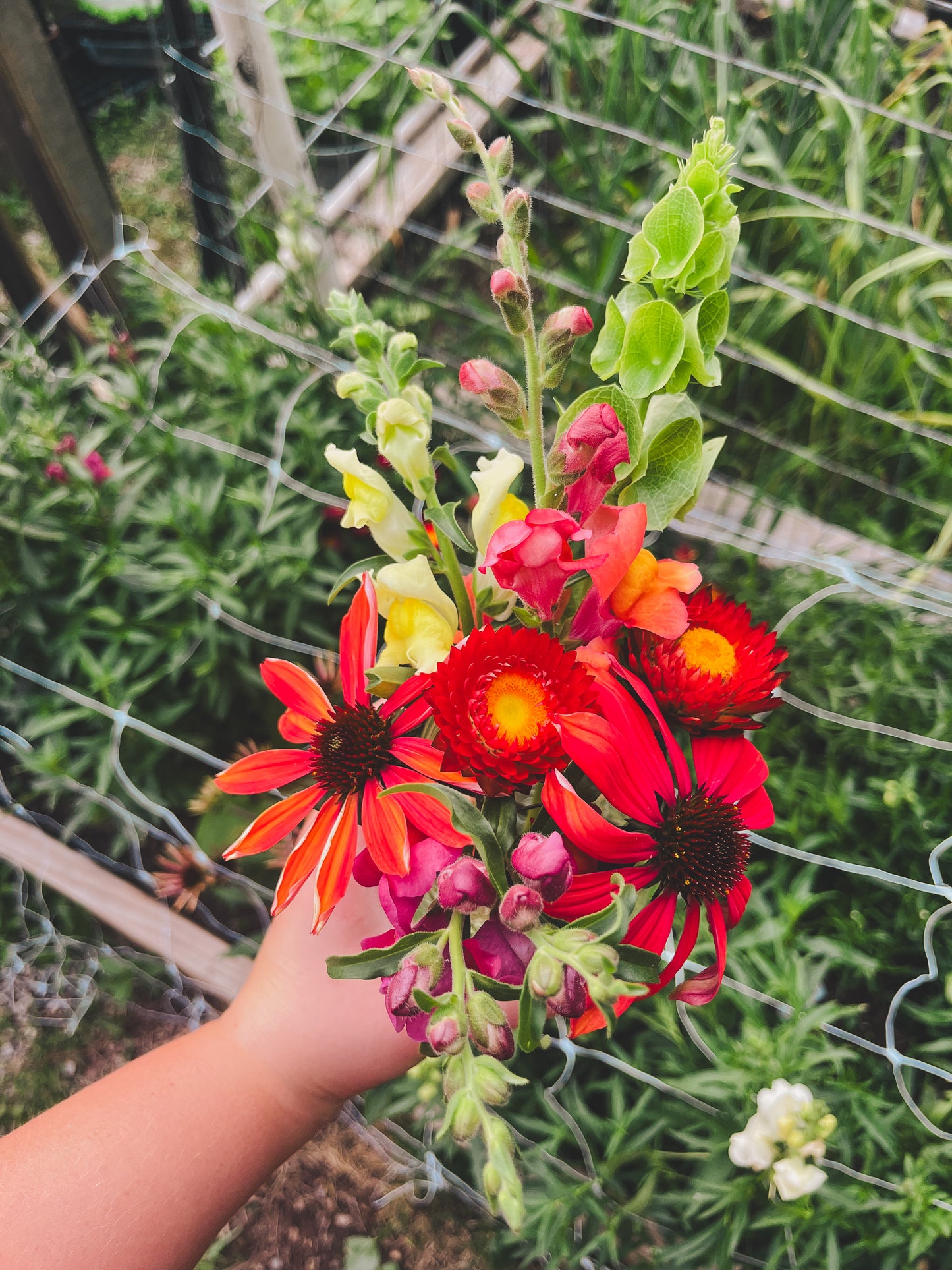 Fresh Picked Bouquets