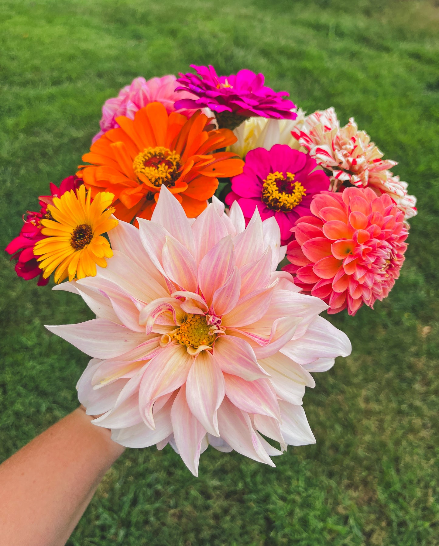 Fresh Picked Bouquets