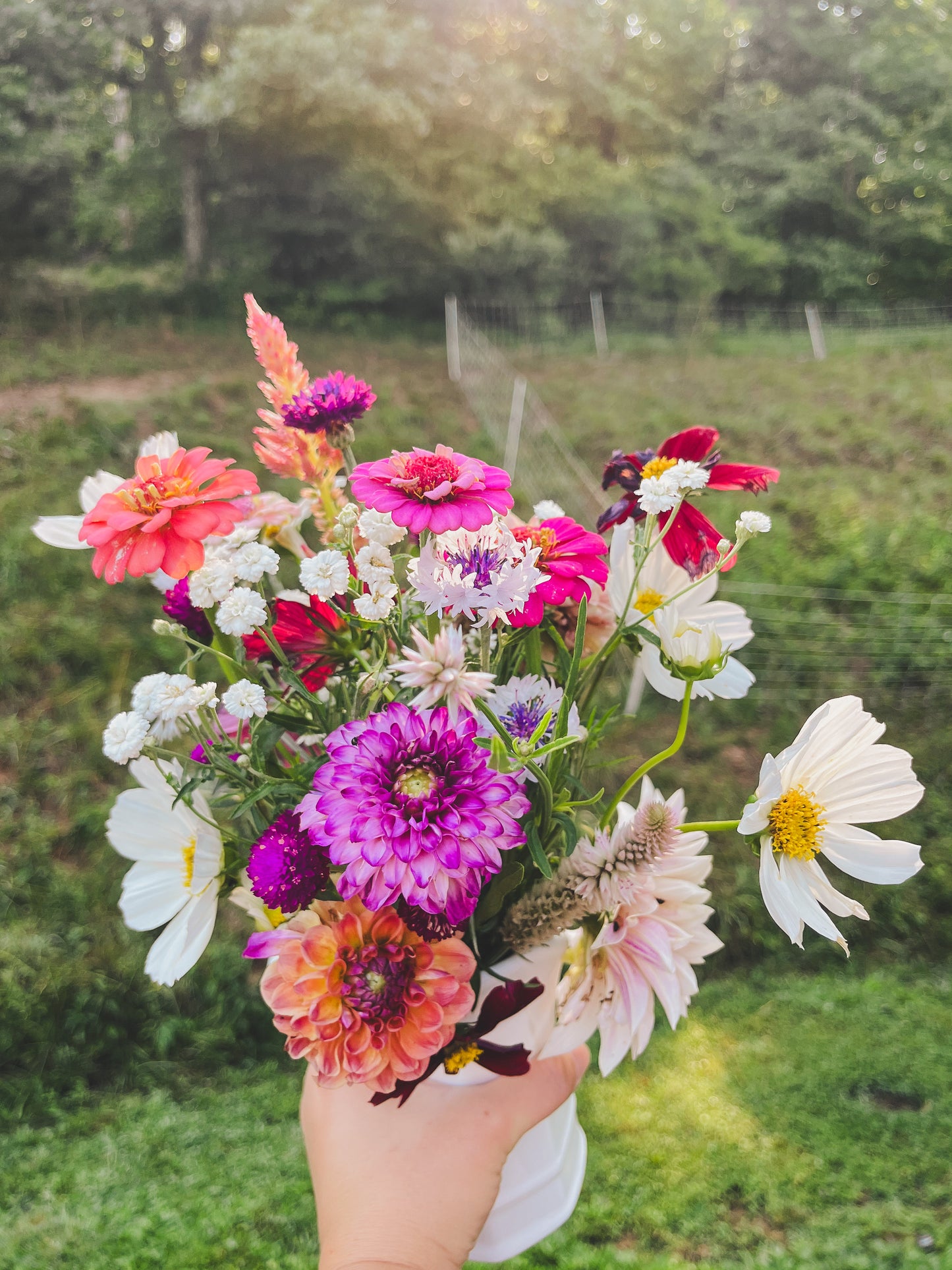 Fresh Picked Bouquets