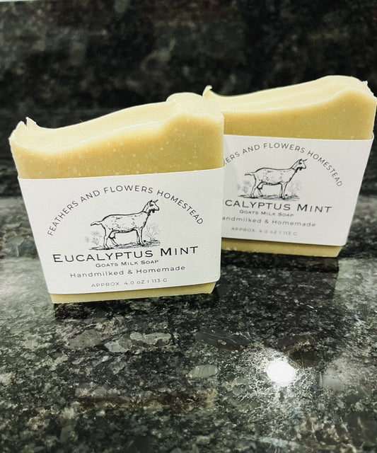 Eucalyptus Mint Goat Milk Soap