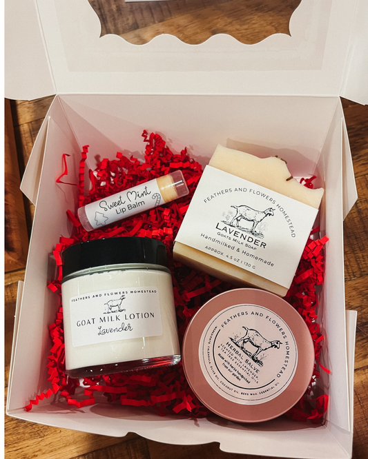 Goat Milk Soap, Lotion, Salve, and Lipbalm Set