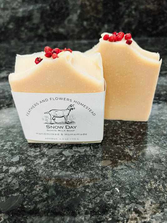 Snow Day Goat Milk Soap