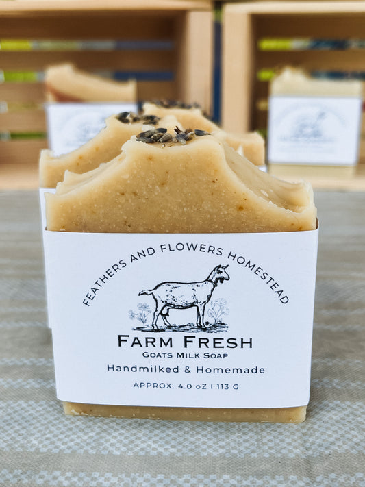 Farm Fresh Goat Milk Soap- Lavender and Orange